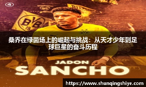 星空XK·(中国)体育官方网站 - XK SPORTS